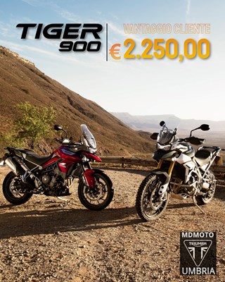 GAMMA TIGER 900 