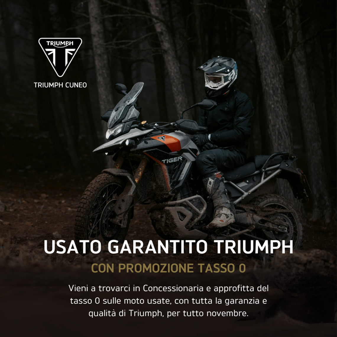 Usato Garantito Triumph