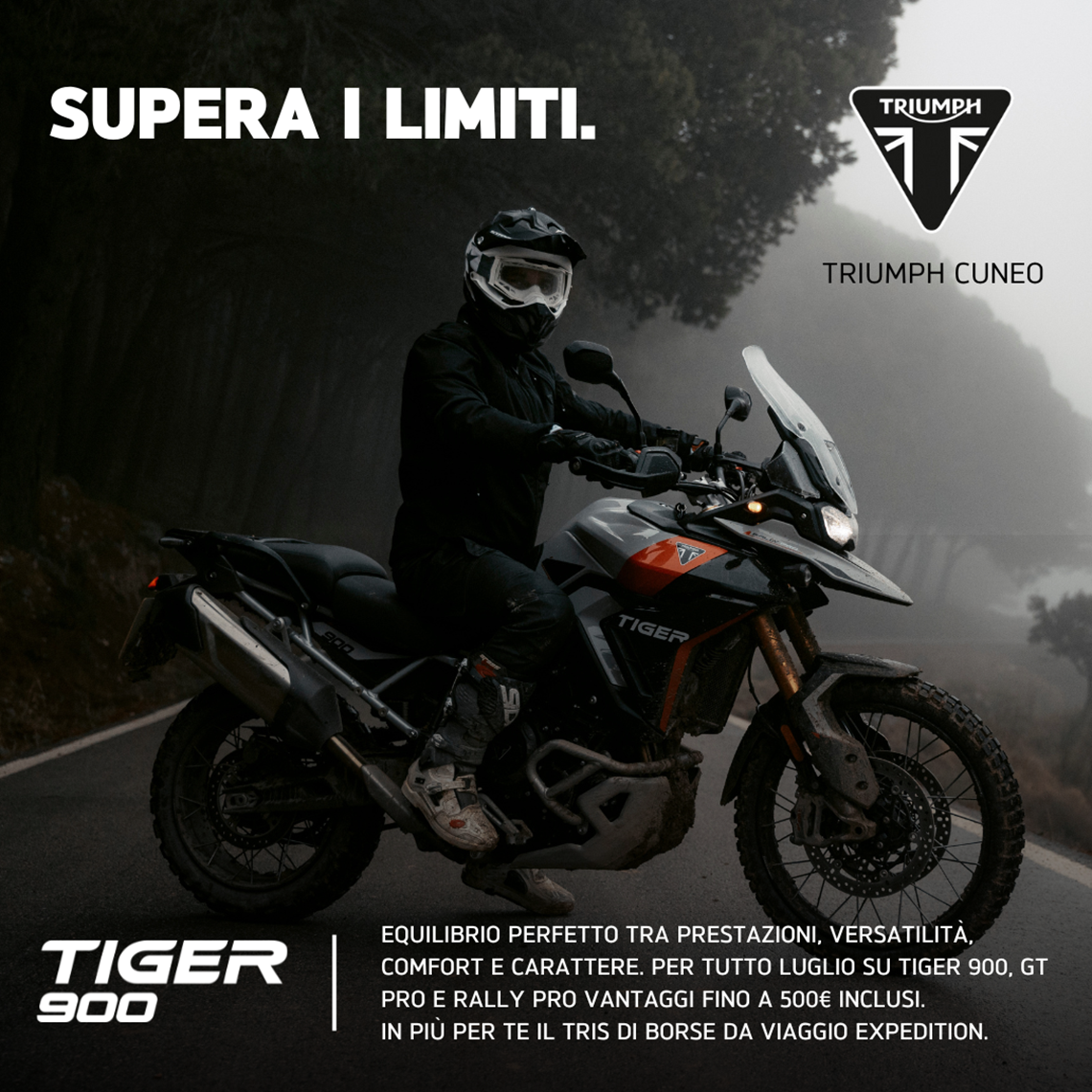 Tiger 900.