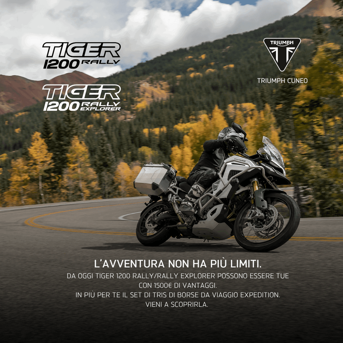 Tiger 1200 Rally.