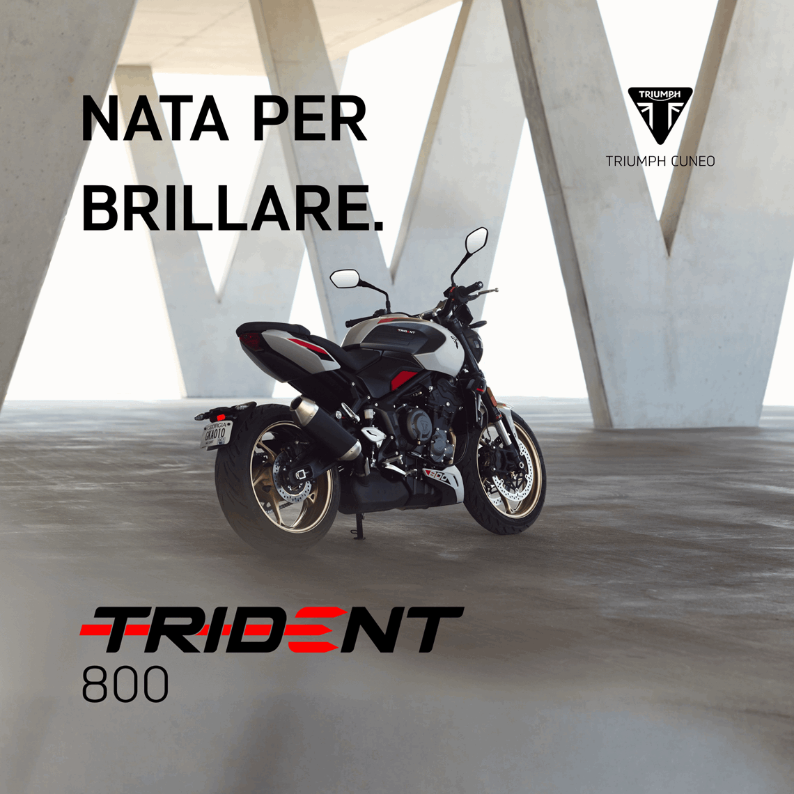 Trident 800.